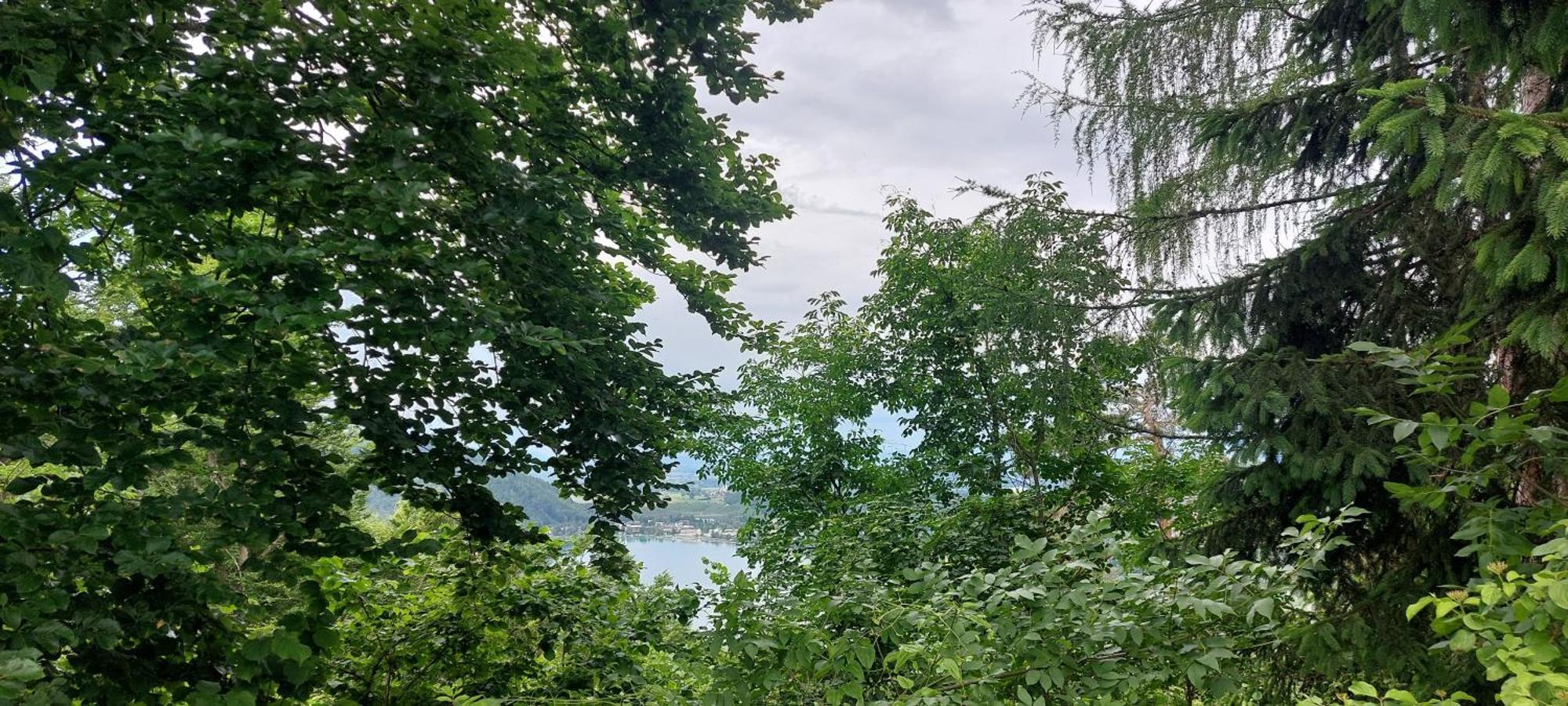 Apartment Golfblick