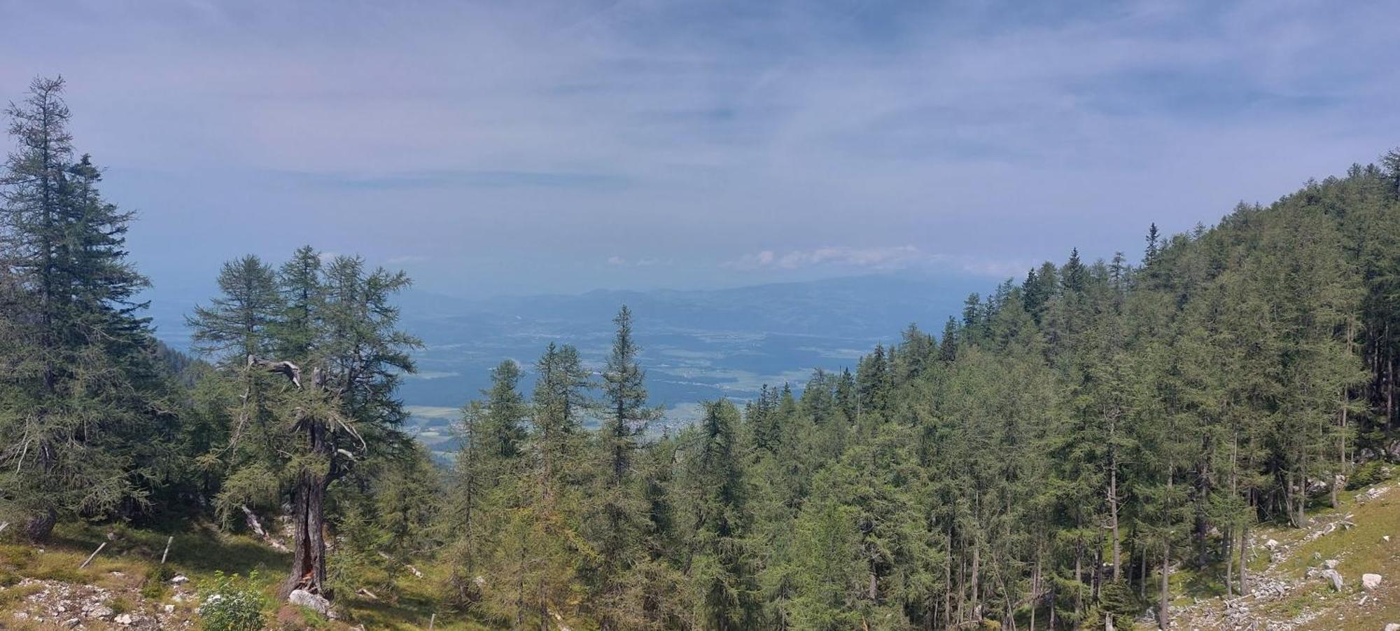 Golfblick