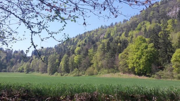Golfblick