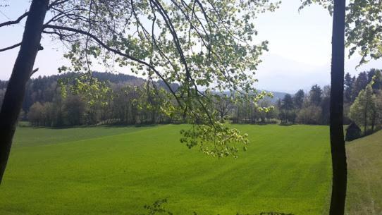 Golfblick Apartment *